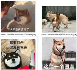 我要自杀让你没有爸爸无厘头聊天表情包下载沙雕狗子表情最新版软件下载