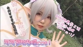 解密公司24一梦千寻