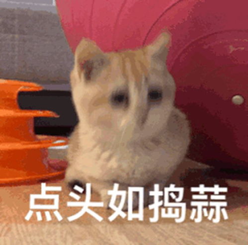 你是个狠人呐表情包