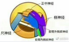 笑尿了原来每个专业都有专属表情包,来看看你的是什么