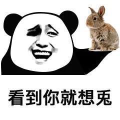 熊猫头怼怼表情包