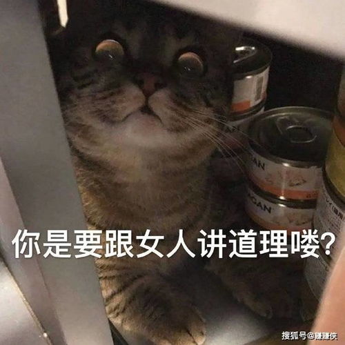 可爱表情包图片我知道错了