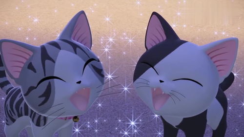 甜甜私房猫小奇晚上在公园玩,还有好多伙伴,特别的热闹