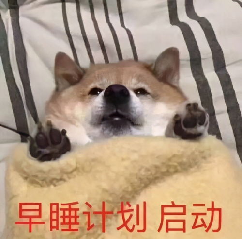 30条让沙雕之魂熊熊燃烧的句子多年前你一句珍重,我至今没瘦