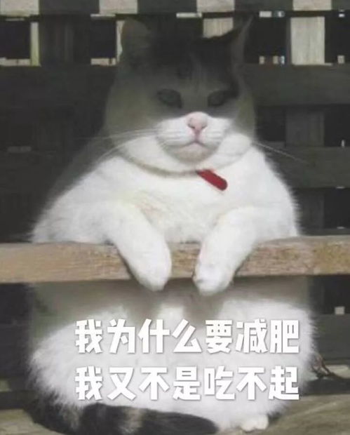 今日表情推荐,710