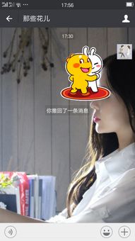 微信两只兔子跳舞的表情叫什么名字跪求大神指点