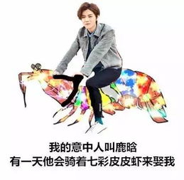 皮皮猪变身记
