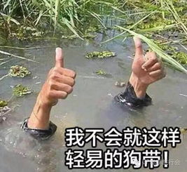 塔吊表情包图片大全冰雹