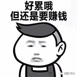 纽约小姐杀出重围考上环卫工