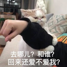 十条笑话这岂是我等学渣能达到的境界