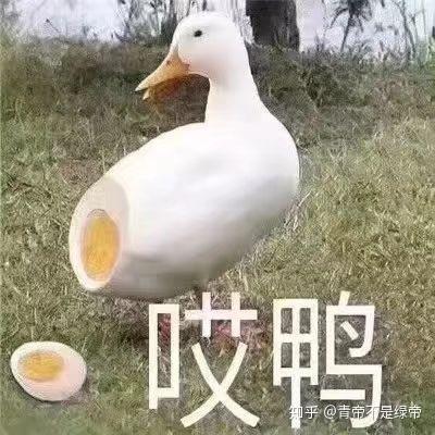 最近回到家发现家里的宽带太慢了,看了看居然是长城宽带,想换一条宽带,坐标深圳宝安,能给个推荐吗