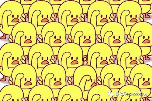 这些小黄鸭送给你们,什么颜色都有,拿去不谢
