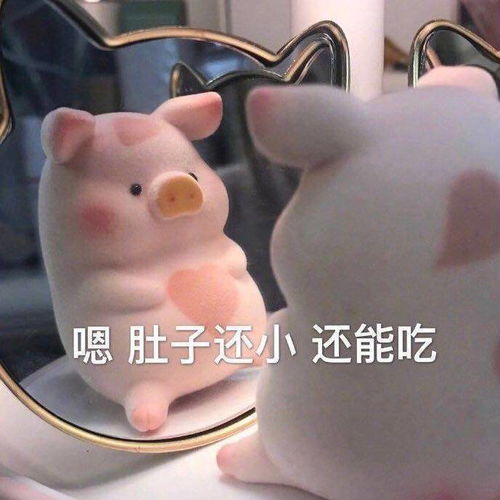 有姐妹跟我要lulu猪表情包,我就一起放在这里分享吧