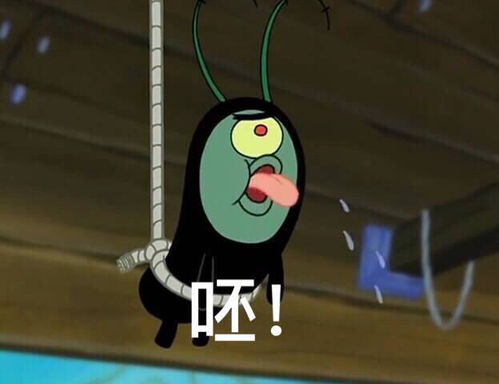 李涛,你们什么时候开始真臭的