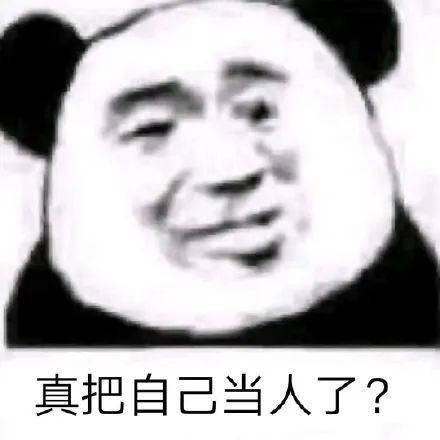 今日份沙雕搞笑熊猫头表情包