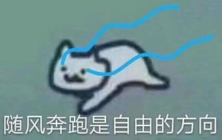表情包等我剪个空气刘海迷死你
