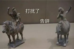 2018年第一个火了的表情包竟是它,用了感觉自己萌萌哒