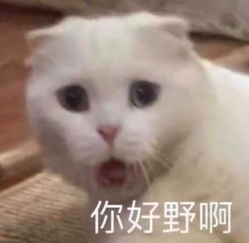 搞笑表情包更新心痛到无法呼吸