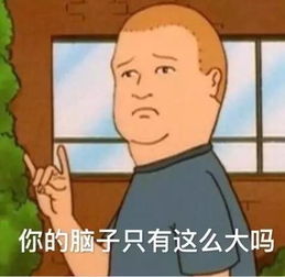 愁人的表情包换装