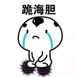 文娱大播报又回来了