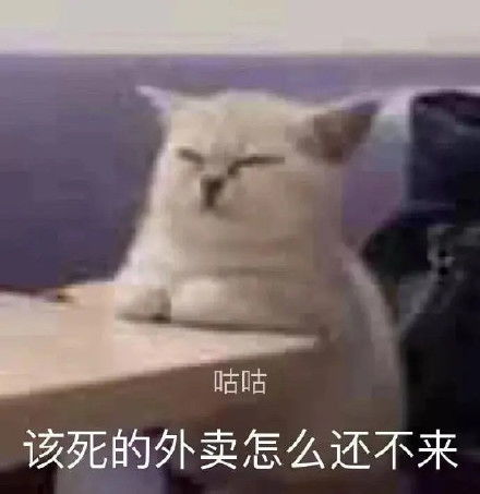 来一份可可爱爱的表情包吧2021.09.04