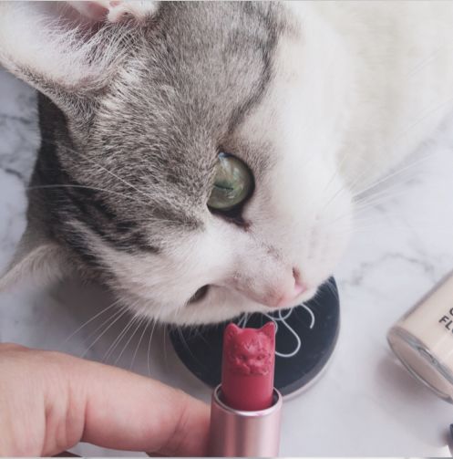 颜值即正义瓷妆超萌猫头平价好看美到犯规