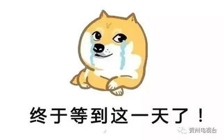 钟山未婚青年,520别伤心,你已经成功引起团中央的重视了