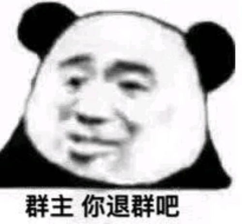 沙雕群聊专用表情包楼下是帅哥,谢谢楼上,你也很帅