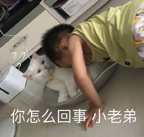 当你凝视深渊的时候,深渊懒得理你