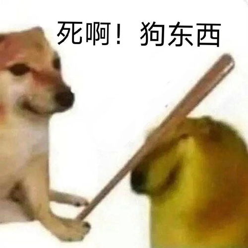 我是新加坡第一个因为大姨妈失血过多而进急诊的衰狗吗