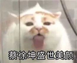 蔡徐坤表情包粉丝ikun专用