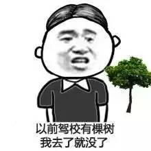 驾校教练与女学员的聊天记录曝光,太刺激了