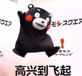 装修爱家买家具家居实用攻略.......教你如何去省钱