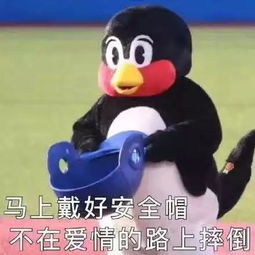 这些复旦er的出行上课方式你都见过吗
