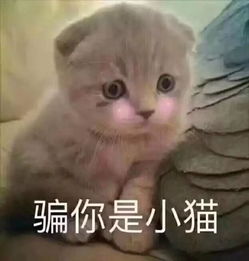 中药煎浓好还是谈好专家这样说......