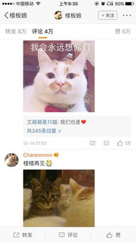 showki你肯定用过它的表情包它叫楼楼今天它永远的离开了我们