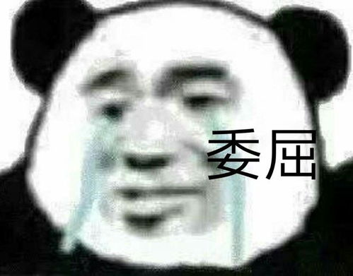 2022.4.07更新超逗超搞笑熊猫头表情包