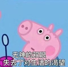 笑出猪声,2017年度喜感新闻大盘点第二条就笑疯了