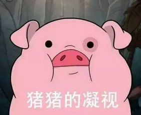 皮皮猪表情包图片头像