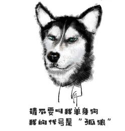 单身汪定制表情包,520朋友圈谁秀恩爱就发给谁