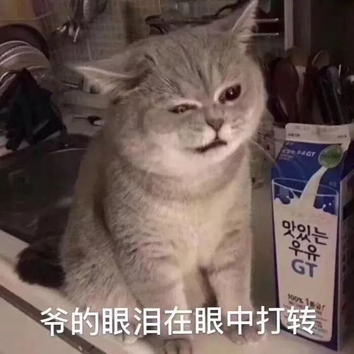 大家来推一本反差萌卑微小可怜男主文吧网友来推文