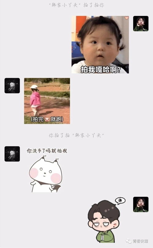 微信新功能拍一拍你get到了嘛