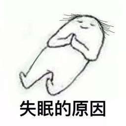 表情包每天深夜总有一堆不睡觉的原因