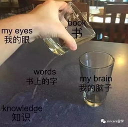 开学季,表情包是我唯一的心灵鸡汤