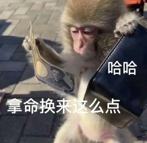 现在卖芯片,逃不过这几种结局