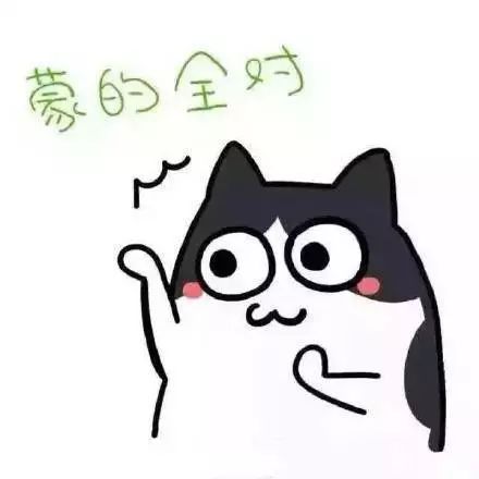 期末考试周请不要叫我名字,请叫我过儿