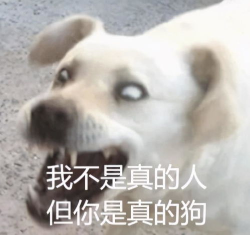 一点都不下饭的美食片,居然这么上头