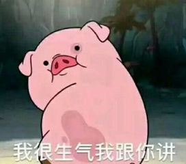 大猪蹄子不回你消息怎么办甩个表情包过去,瞬间变舔狗