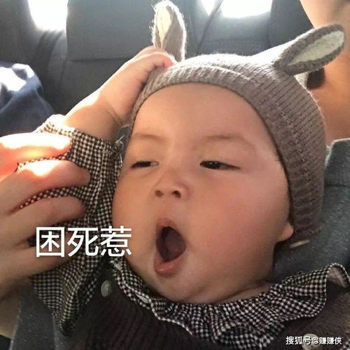 热门表情包图片动图gif