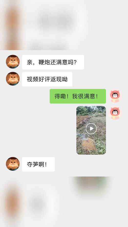 山上的笋都被夺完了沙雕日常人类迷惑行为搞笑